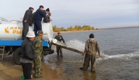 Казахстан рыбалка верхнетобольское водохранилище Казахстан рыбалка верхнетобольское водохранилище