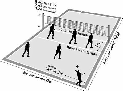 Правила Игры В Волейбол 2013-2016 - lotsiya