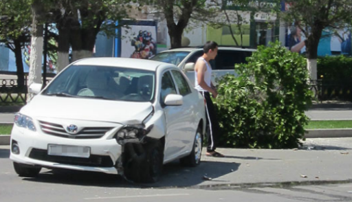 сбила деревце