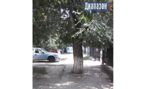 Народный репортёр. Сохраните дерево, но сделайте тротуар шире!
Народный репортёр. Сохраните дерево, но сделайте тротуар шире!