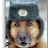 фото пользователя pisec